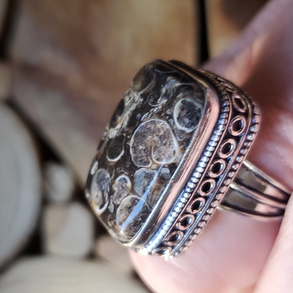 New Turritella Agate Fossil 925 Silver Ring. - Picture 9 of 16
